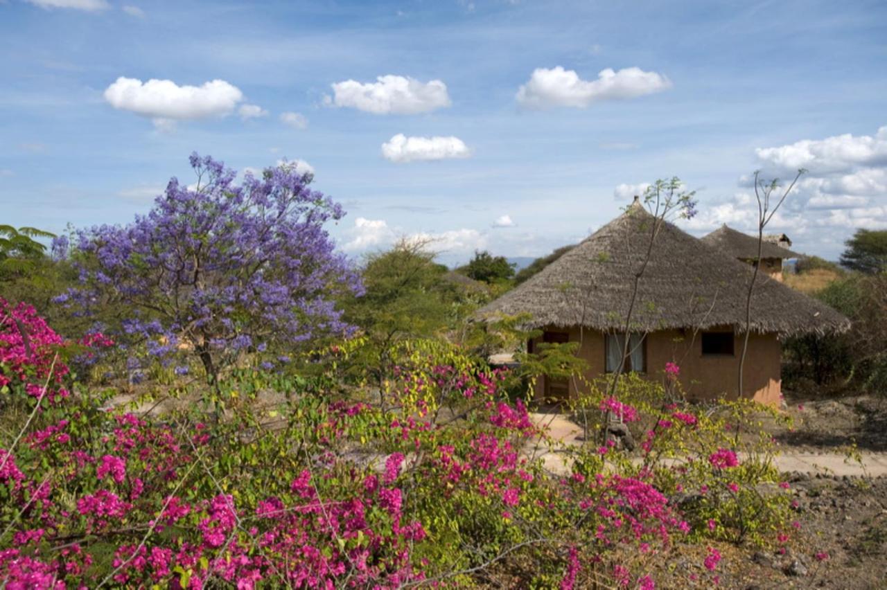 Kia Lodge Arusha Buitenkant foto