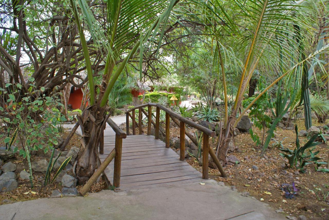 Kia Lodge Arusha Buitenkant foto