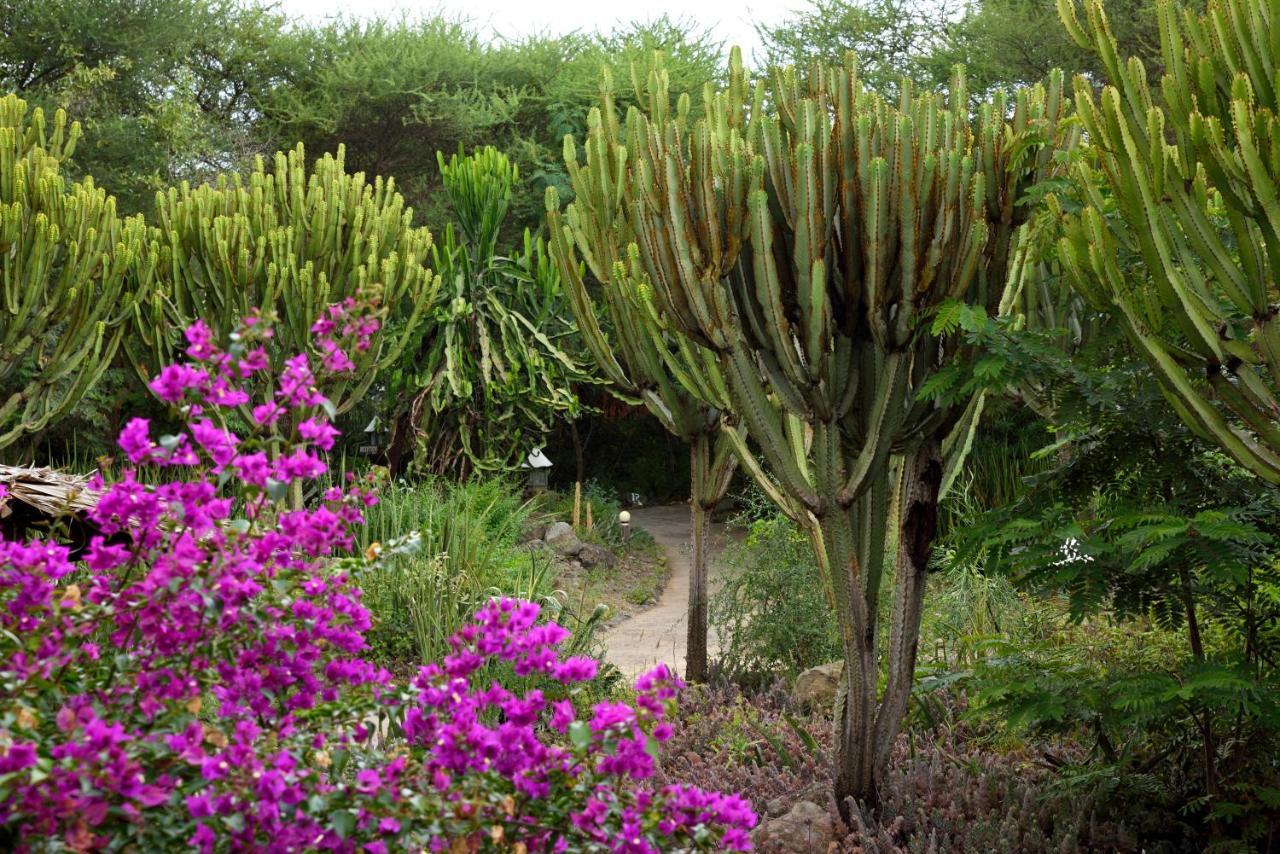 Kia Lodge Arusha Buitenkant foto